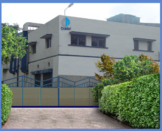 Cradel Pharmaceutical, Contract Manufacturing, Contract Packaging, Pharmaceutical Manufacturers, Packaging Manufacturers, Pharmaceutical Products, Contract Manufacturer, GMP, Soft Gel, Dietary Supplements, Health Supplements, Wholesale Vitamins, Contract Manufacturing near kolkata, Contract Manufacturing bengal, Contract Packaging , Contract Packaging